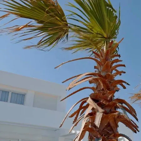 Seapalm - Elegant - Steps From The Sea Villa *
