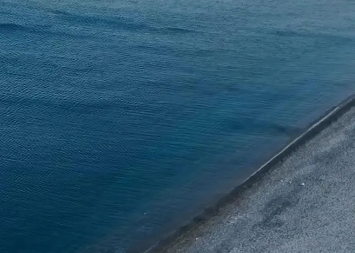 Seapalm - Elegant - Steps From The Sea