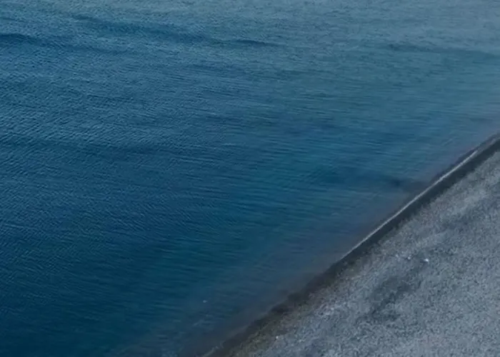 Seapalm - Elegant - Steps From The Sea 别墅